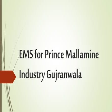 Ems for prince mallamine industry gujranwala