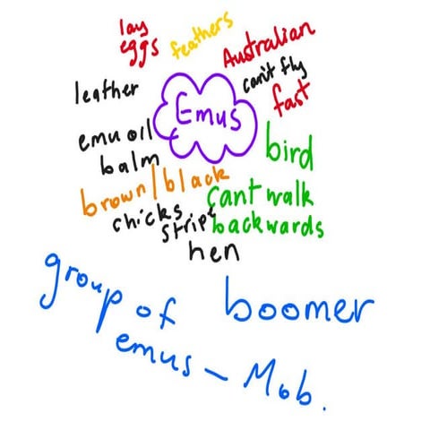 Emus