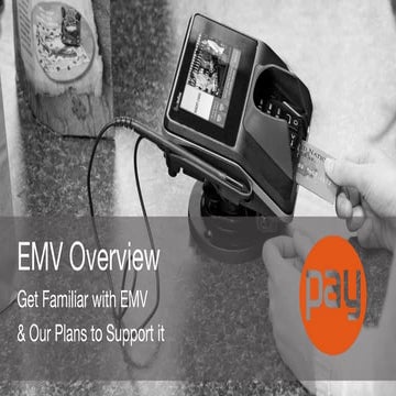 Emv overview-payscape-2015 (1)