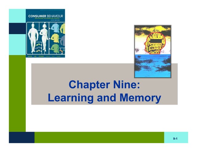 BB Chapter Nine : Learning and Memory