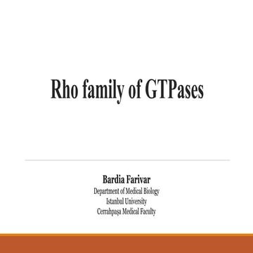 Rho family of GTPases