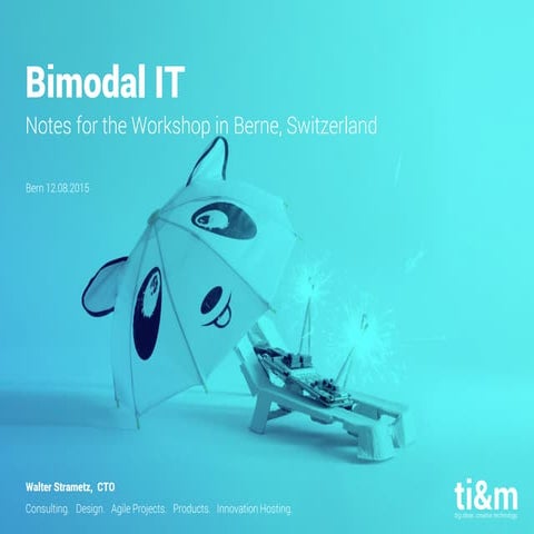 Map your Bimodal IT