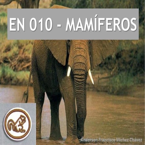 Mamíferos - Especialidad desarrollada (Club de Conquistadores)