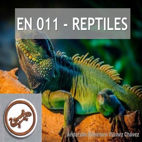 Reptiles - Especialidad desarrollada (Club de Conquistadores)