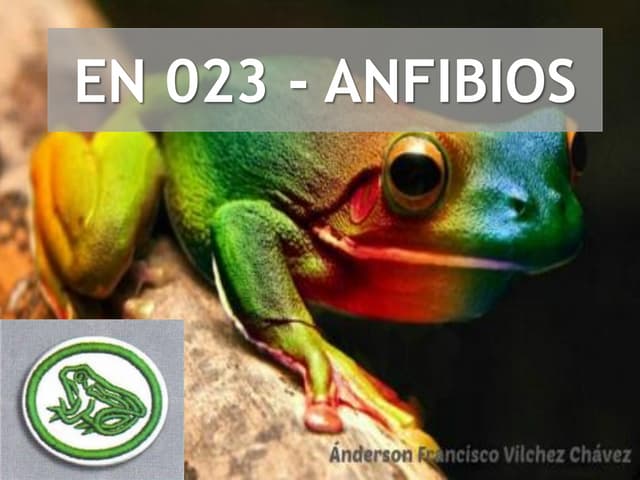 Anfibios - Especialidad desarrollad...