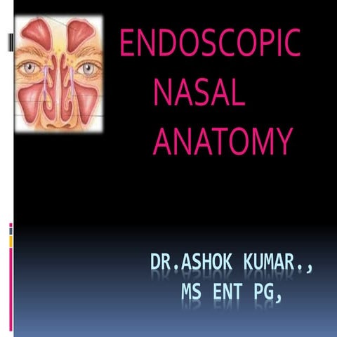 endoscopic anatomy of nasal cavity