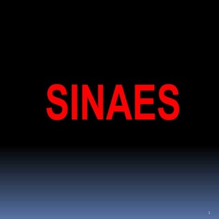 Enade Sinaes - prof. dr. rui otavio...