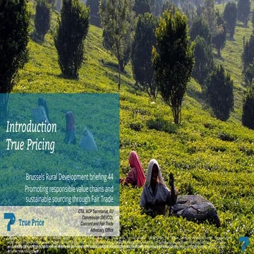 Brussels Briefing 44: Dr. Adrian de Groot Ruiz, Executive Director, True Pric...