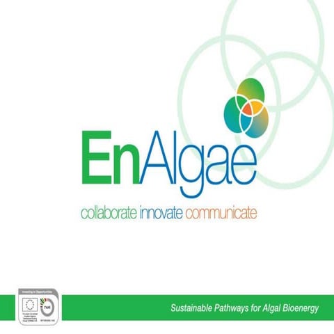 Energy from algae: opportunities and barriers to uptake