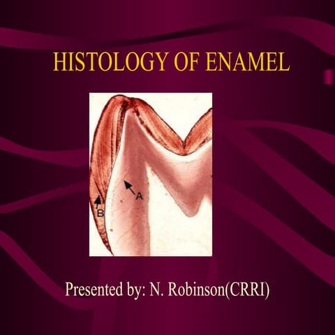 Histology of Enamel