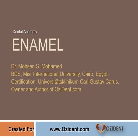 Dental Anatomy: Enamel 