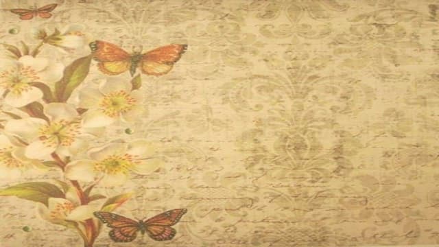 Enamorados alfredo mendes