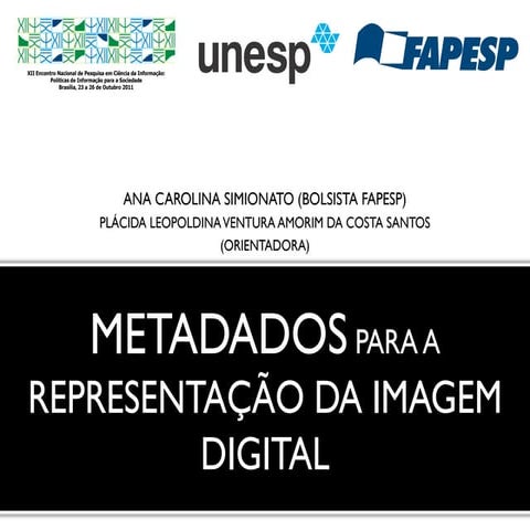 Metadados para a representação de imagens digitais