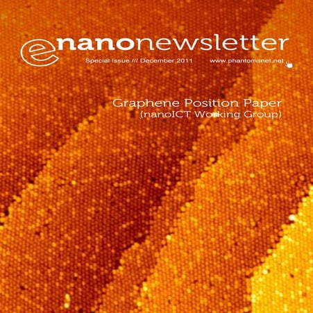 Graphene Position Paper (E-Nano Newsletter Special Issue)