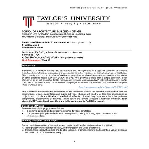 Enbe e portfolio brief