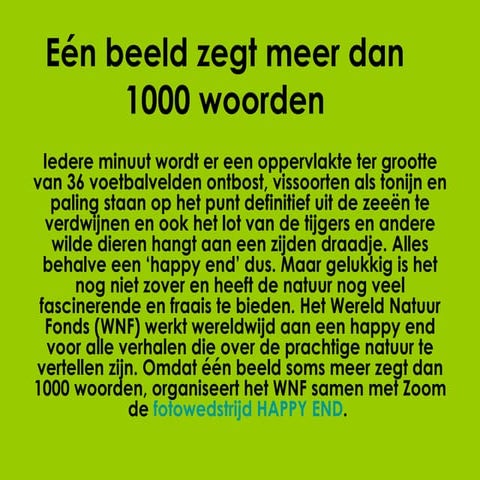 Eén beeld zegt meer dan 1000 woorden | PPT