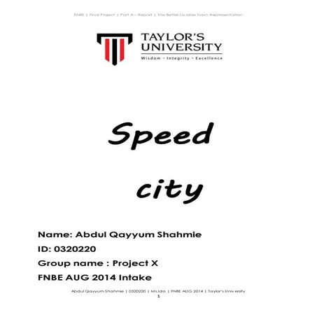 Enbe final project report