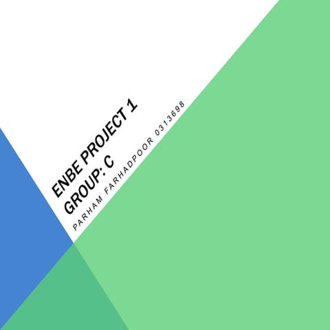 Enbe project 1