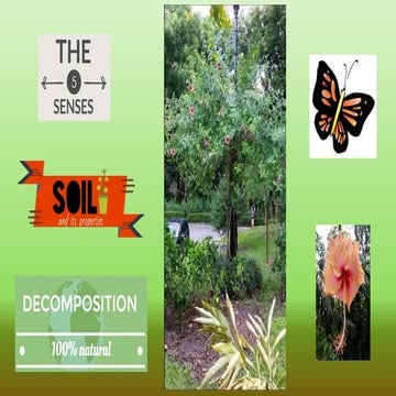 enbe infographic slides