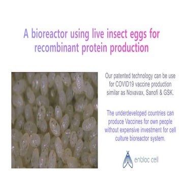 Enbloc cell short deck 210210