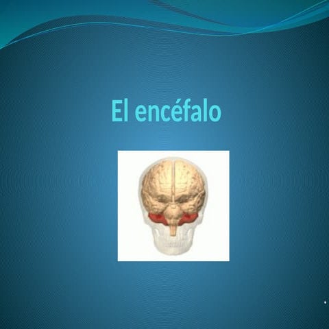 ENCEFALO.pptx SIWSTEMA NERVIOSO CENTRAL EL CEREBRO Y SUSA FUNCIONES