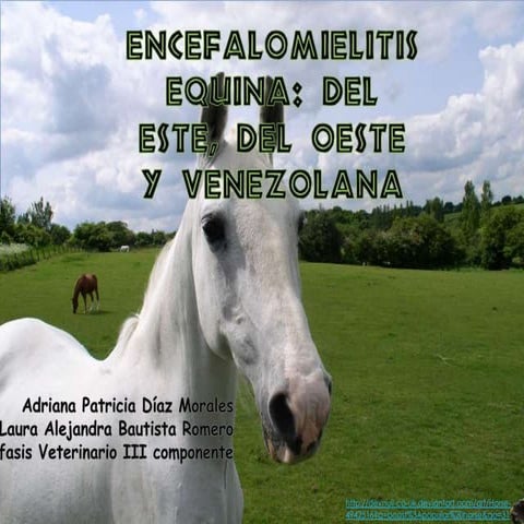 Encefalomielitis equina