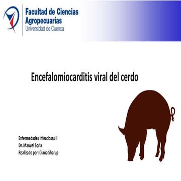 Encefalomiocarditis en Cerdos