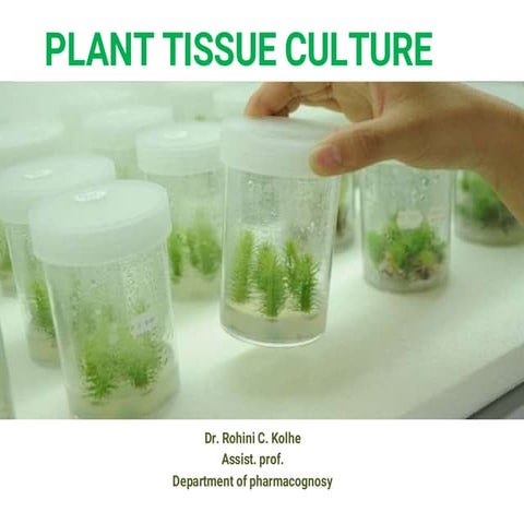 enc=encoded=ndLjGdr_aAzPzeJiOkkSqEQ3TYnTNNqFhfm7pGterbwqNjVdK3cm4_kddg==.pdf