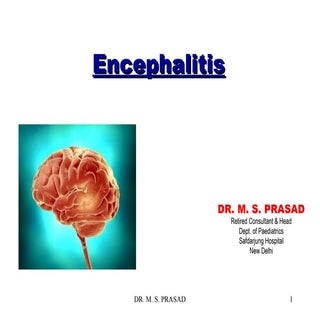 Encephalitis