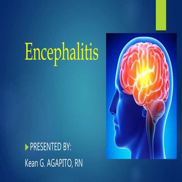 Encephalitis