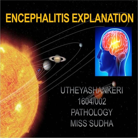 Encephalitis explanation