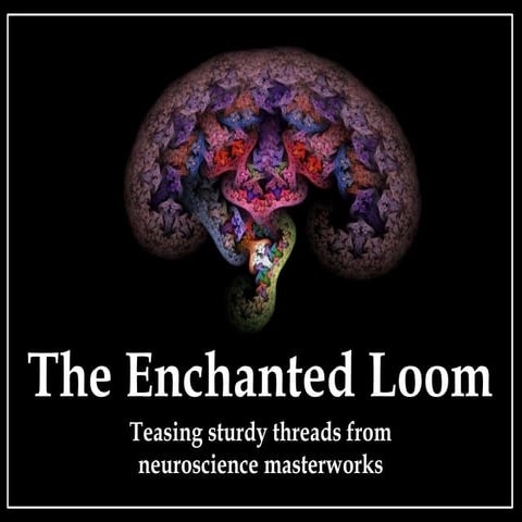 The Enchanted Loom reviews Michael Lewis's book, The Undoing Project