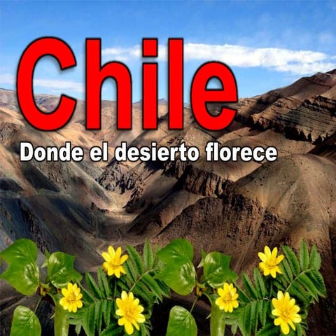 Clase de Conversación - Chile: el desierto florido