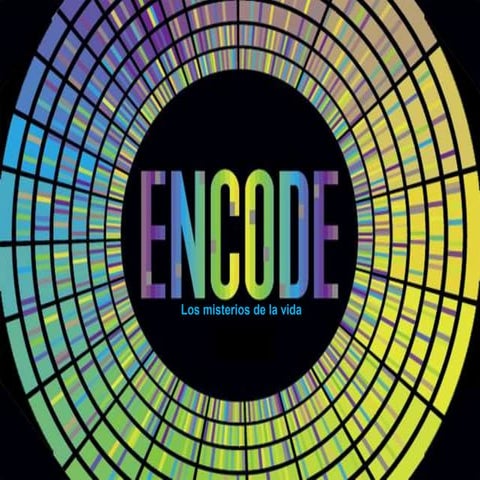 Encode | PPTX