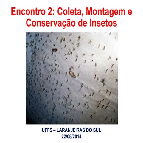 Comprehensive Guide to Insect Collection, Mounting, and Preservation ...