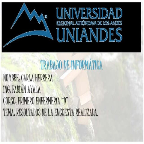 RESUMEN DE LA ENCUESTA REALIZADA