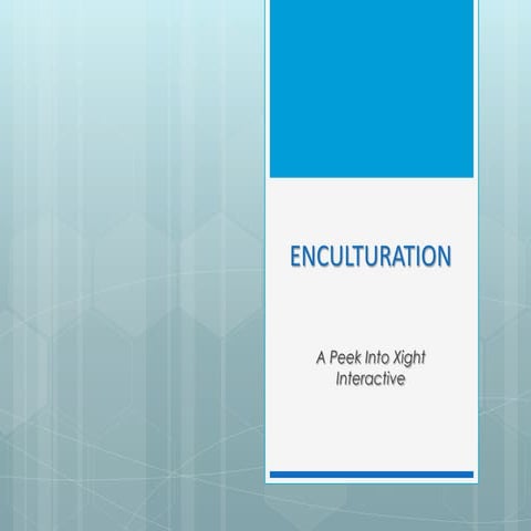 Enculturation - A peek into Xight Interactive