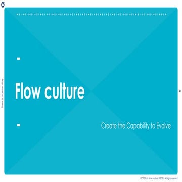 Flow culture | PDF