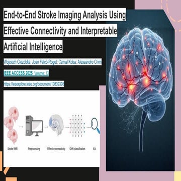 End-to-End Stroke Imaging Analysis Using Effective Connectivity and ...
