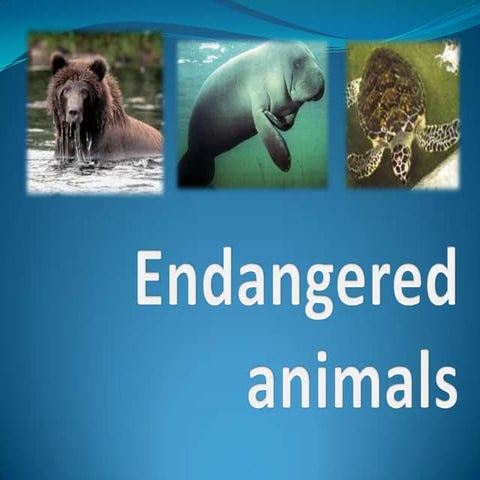 Endangered AnimalsTareaa