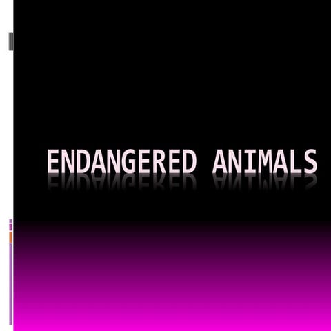 Endangered animals