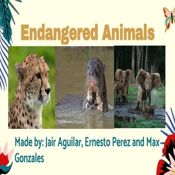 Endangered Animals, risk of extinction.. | PPTX