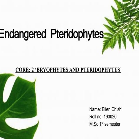 Endangered pteridophytes