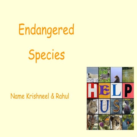 Endangered species 091202193700-phpapp01 | PPT