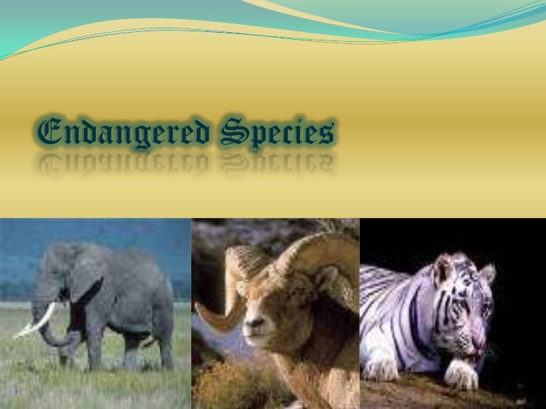 Powerpoint Presentation On Endangered Species Of India