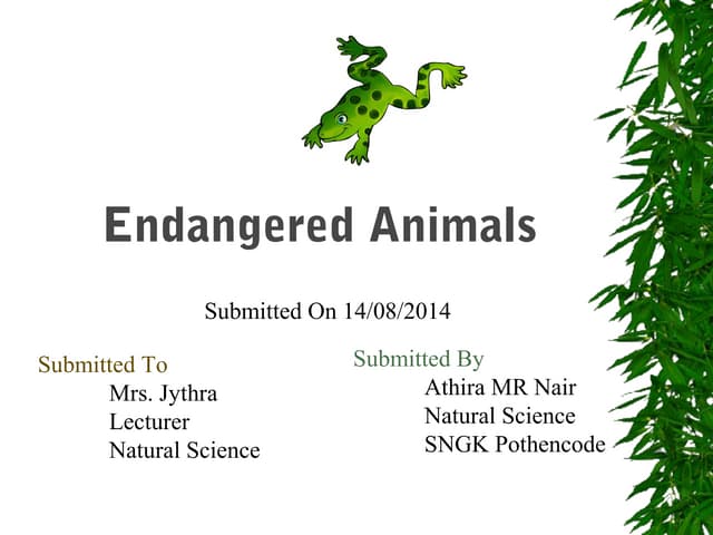 Endangered species powerpoint | PPTX