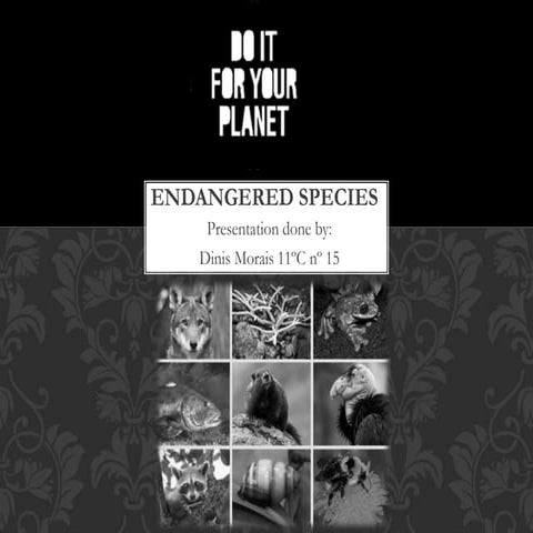 Endangered_Species_Presentation_With_Images.pptx