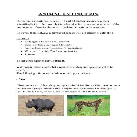 Endangered Animals in 2026: Causes, Species, and Conservation Efforts ...
