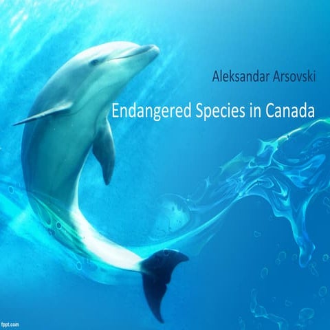 Endangered species in Canada | PPT