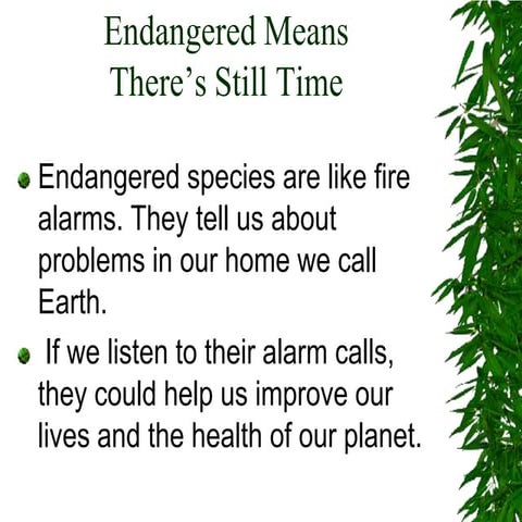 Endangered species powerpoint